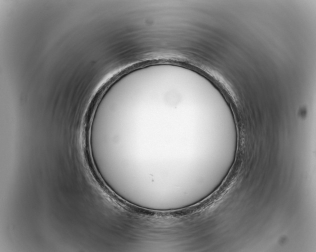 X0000099300983200805020753