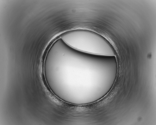 X0000099300984200805020753
