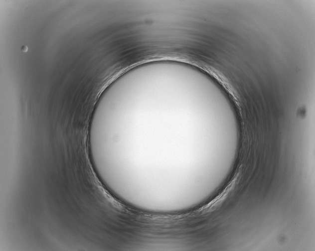X0000099300985200805020752