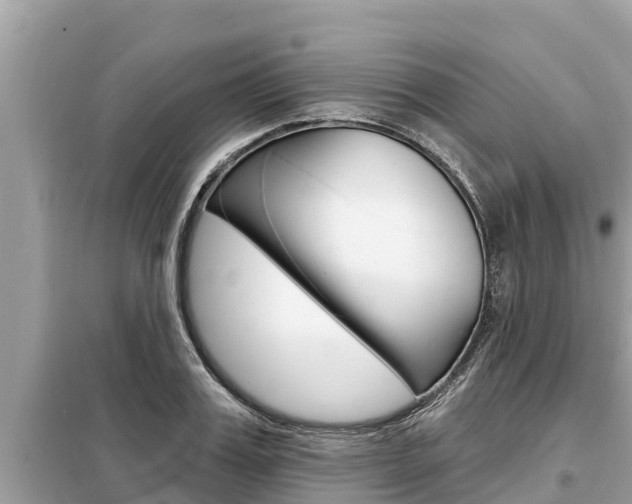 X0000099300987200805020752