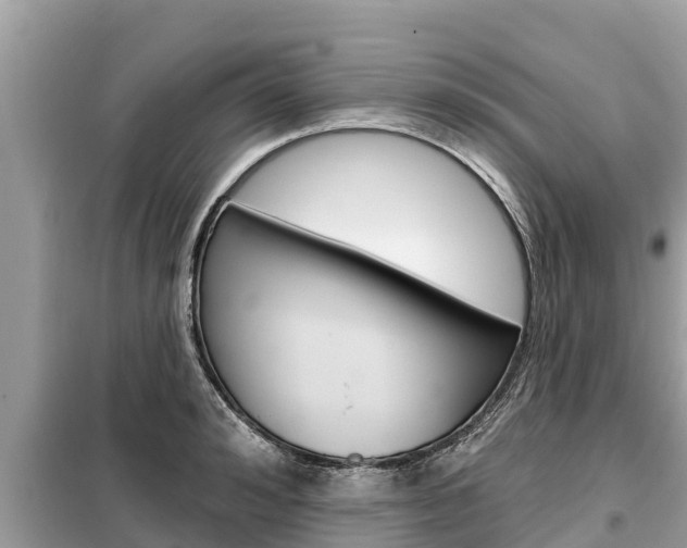X0000099300992200805020752