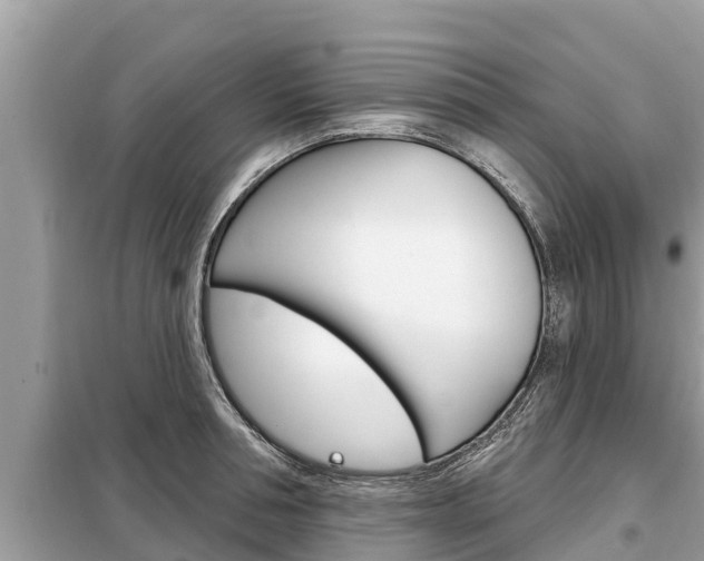 X0000099300994200805020752