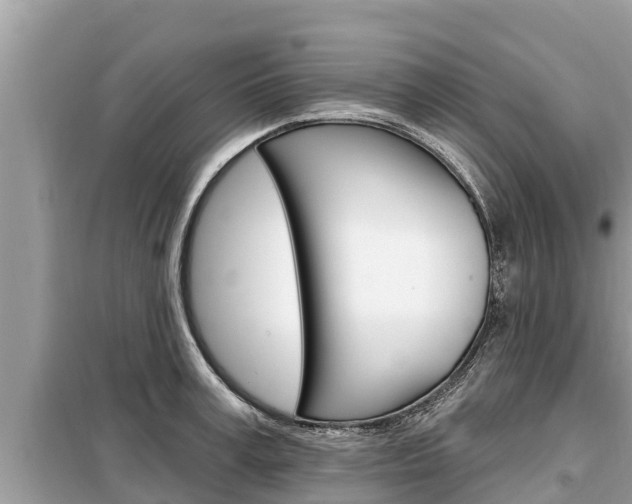 X0000099300995200805020752