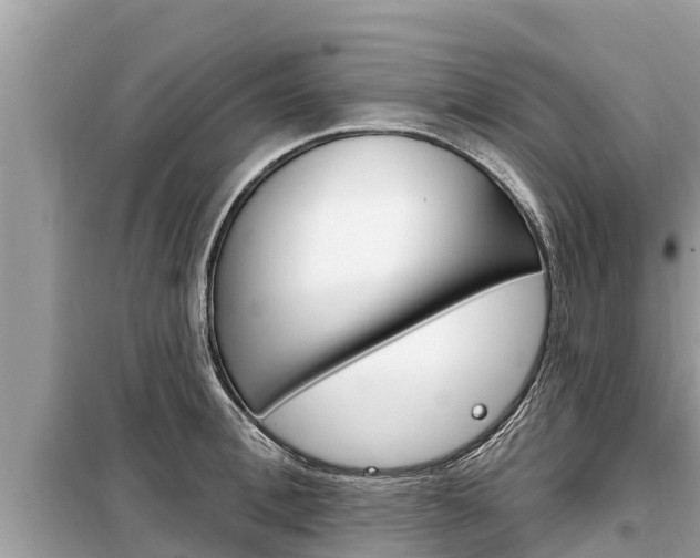 X0000099300996200805020752