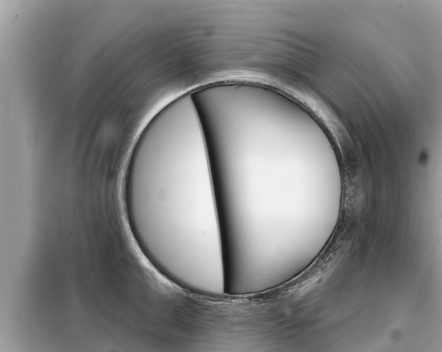 X0000099300999200805020752