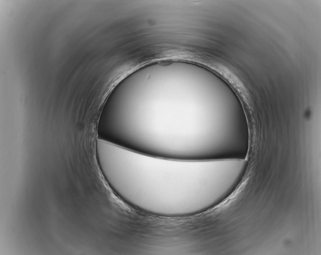X0000099301001200805020752
