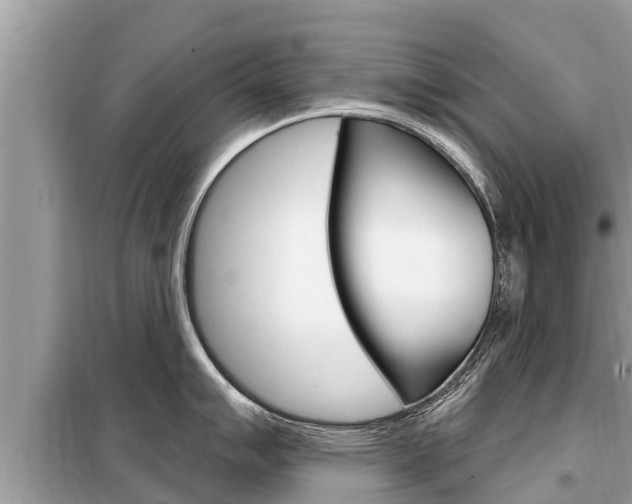 X0000099301007200805020752
