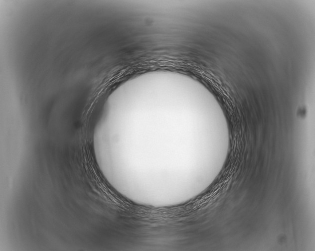 X0000099301009200805020751