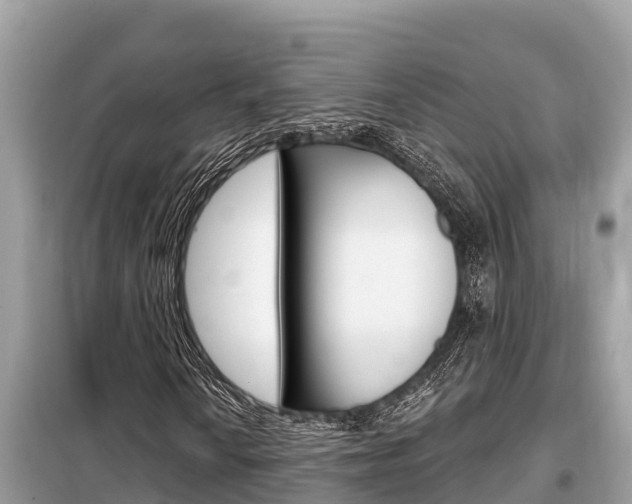 X0000099301010200805020751