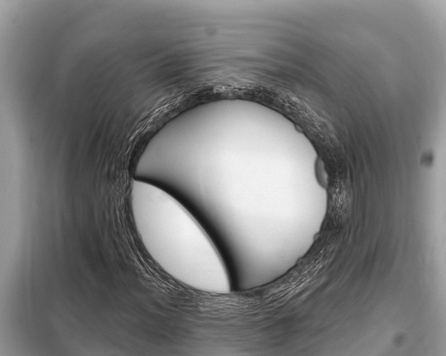 X0000099301012200805020751