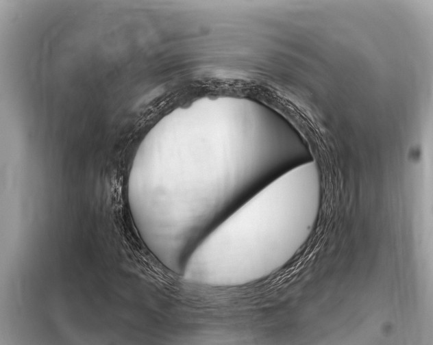 X0000099301013200805020751