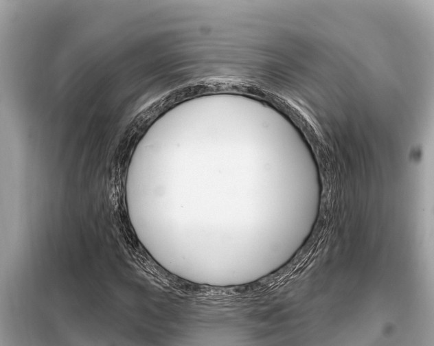 X0000099301015200805020751