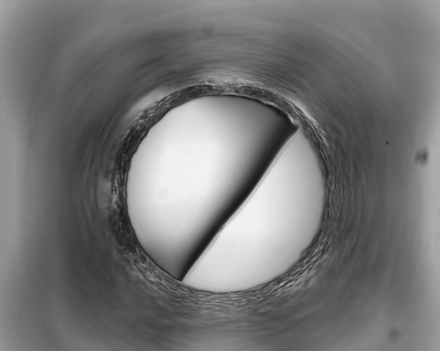 X0000099301016200805020751