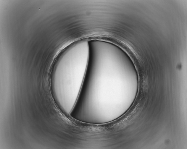 X0000099301018200805020751