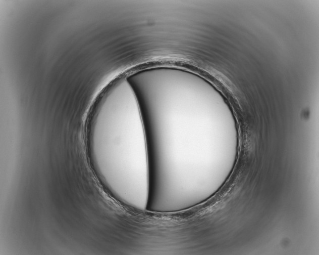 X0000099301022200805020752