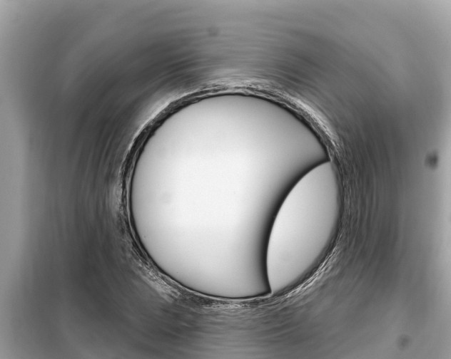 X0000099301023200805020752