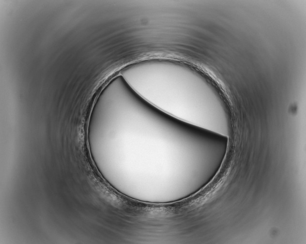 X0000099301025200805020752