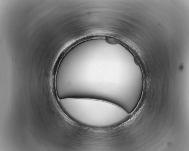 X0000099301029200805020752