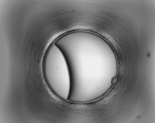 X0000099301030200805020752