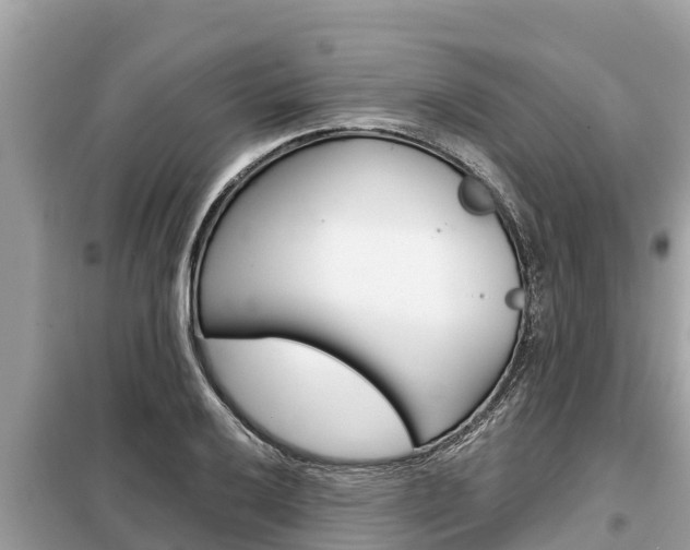 X0000099301032200805020752