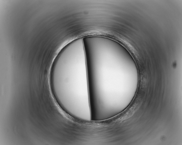X0000099301034200805020752