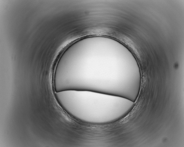 X0000099301035200805020752