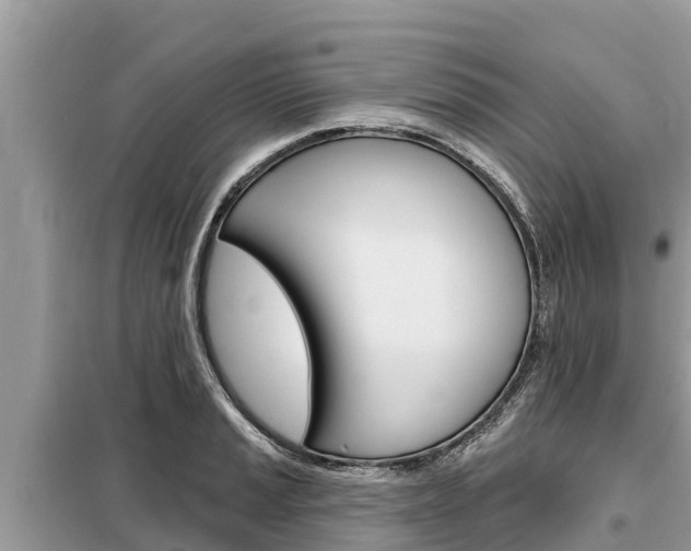 X0000099301037200805020752