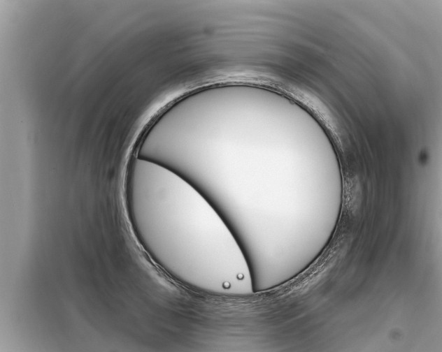 X0000099301043200805020752