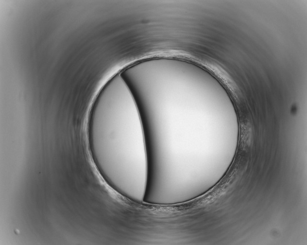 X0000099301046200805020752