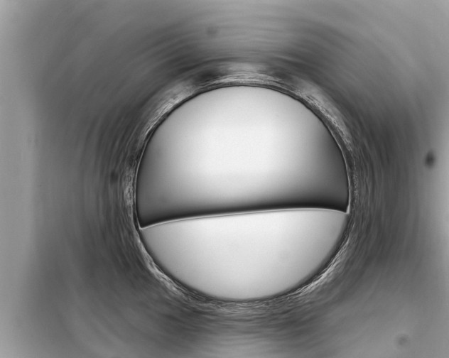 X0000099301049200805020752