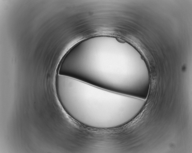 X0000099301050200805020752