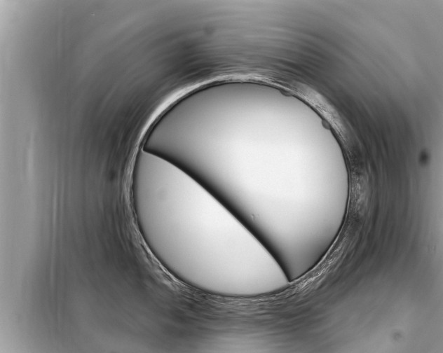 X0000099301052200805020752