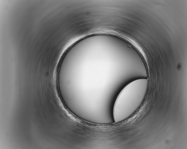 X0000099301053200805020752