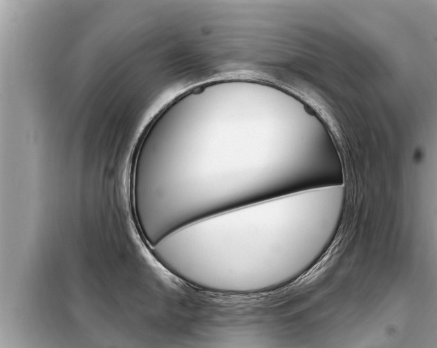 X0000099301054200805020752