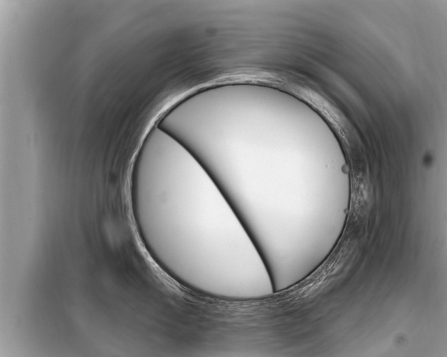 X0000099301055200805020752