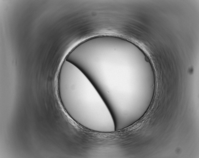 X0000099301056200805020752