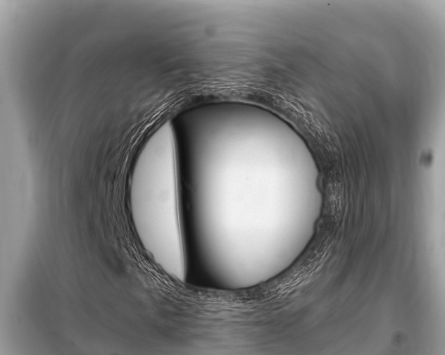X0000099301057200805020751