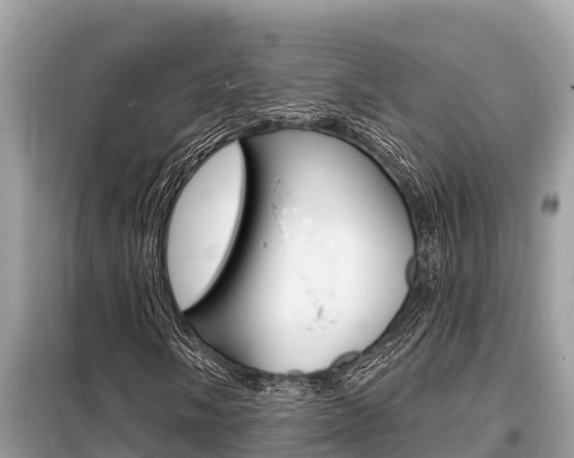 X0000099301058200805020751