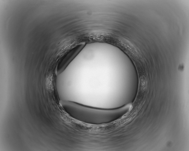 X0000099301060200805020751