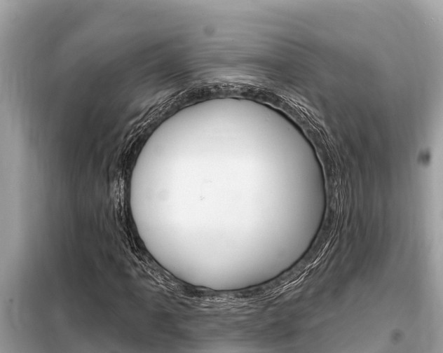 X0000099301061200805020751