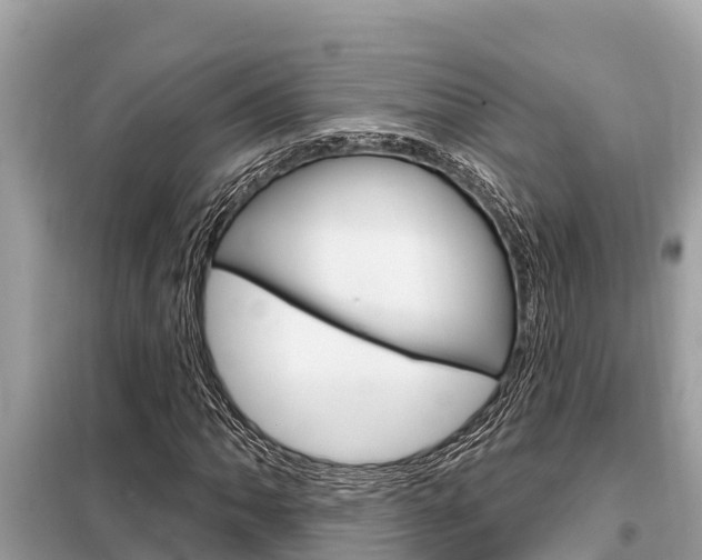 X0000099301062200805020751