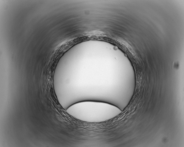 X0000099301063200805020751