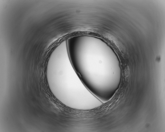 X0000099301064200805020751