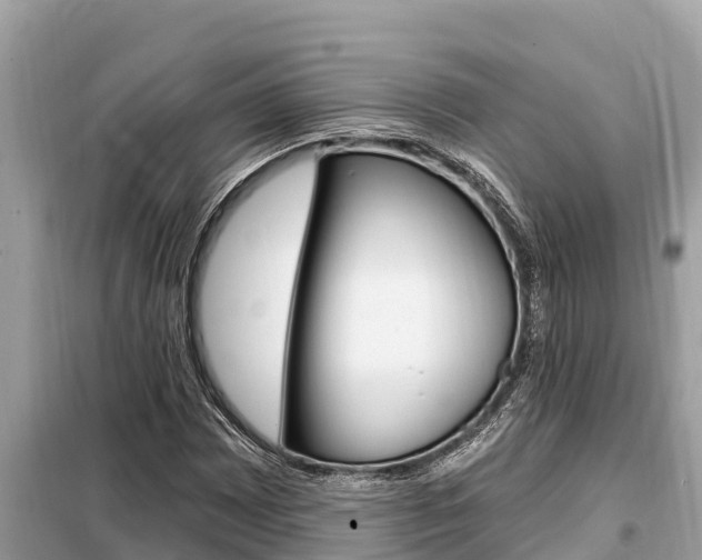 X0000099301065200805020751