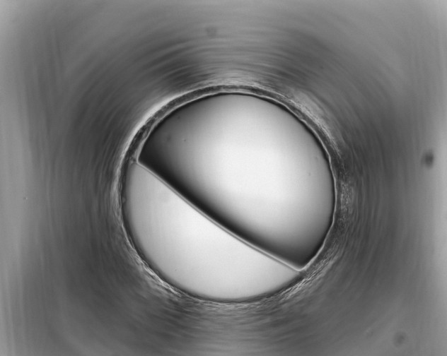 X0000099301068200805020751