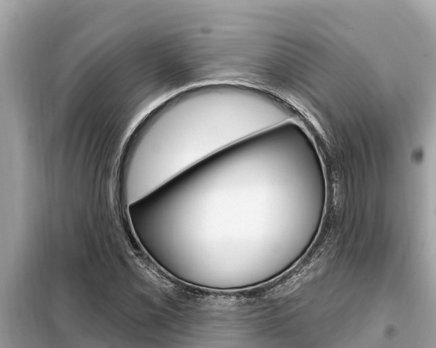 X0000099301069200805020751