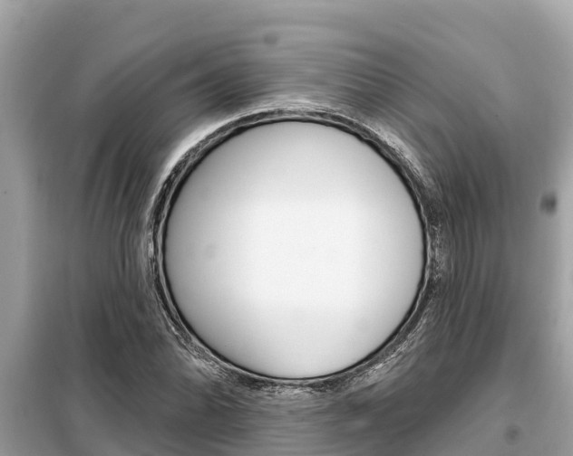 X0000099301070200805020751