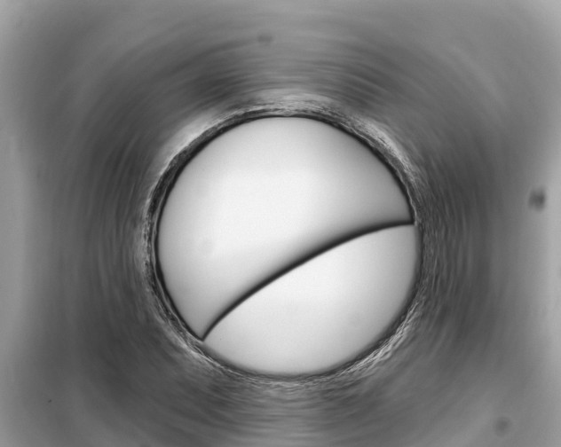 X0000099301071200805020751