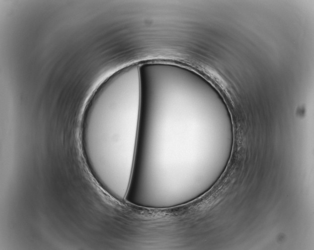 X0000099301072200805020751