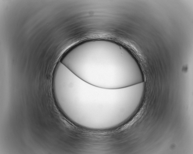 X0000099301073200805020751